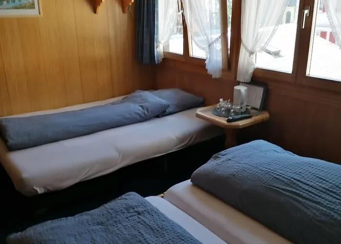 Hotel Petit Helvetia Budget Zermatt