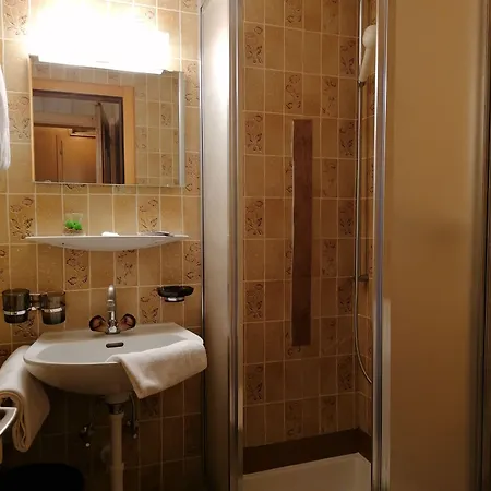 Hotel Petit Helvetia Budget Zermatt