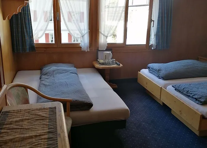 Hotel Petit Helvetia Budget Zermatt